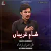 Ali Imran Naushad - Sham E Ghareeban